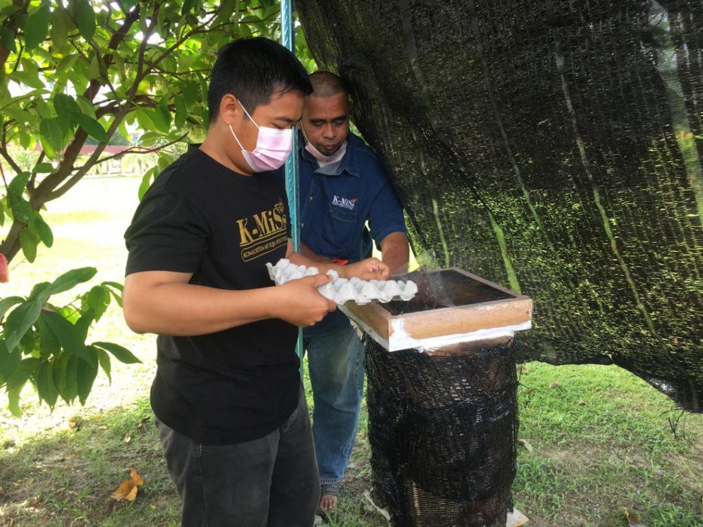 Removing kelulut beehive wrap